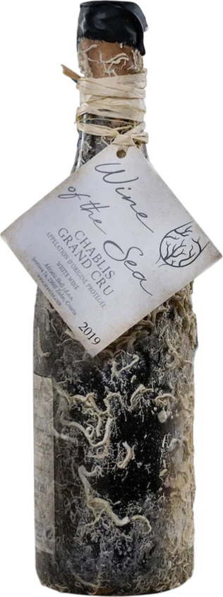 Chablis Grand Cru - Wine of the Sea