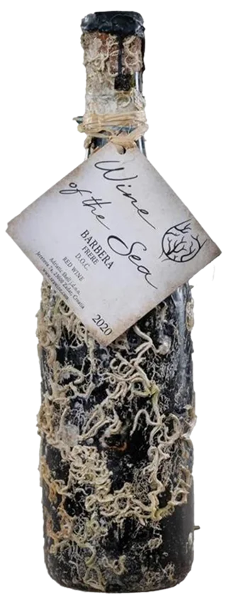 Barbera Frere - WIne of the Sea