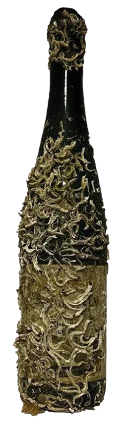 Bernkasteler Lay - Wine of the Sea