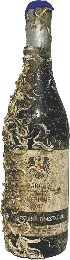 Barolo Meriame - Wine of the Sea