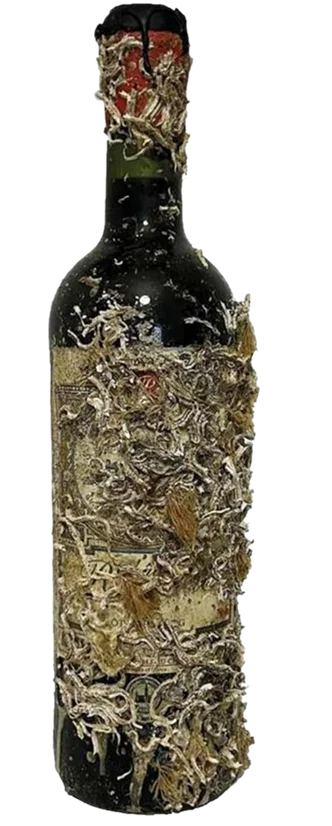 Tradition - Wine of the Sea