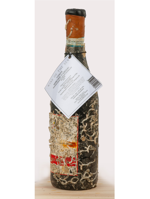 Nebbiolo Langhe, Wine of the Sea