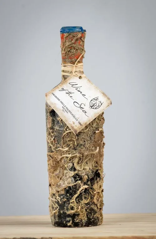 Wine of the Sea - Amarone Reserva 1888