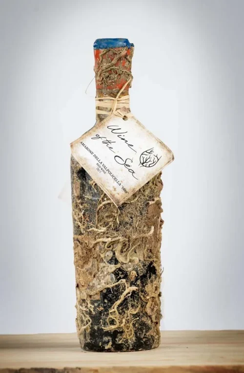 Wine of the Sea - Amarone Reserva 1888